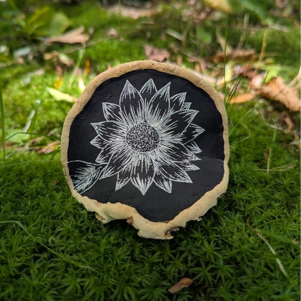 Nighttime Sunflower - Hand Drawn On Bracket Fungus
